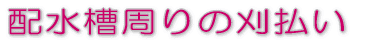 1b