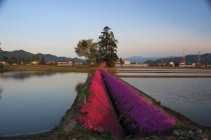 Ｈ26風景　01　　最優秀賞『喜び』