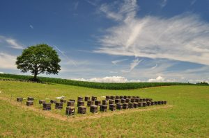 H26　風景　佳作　小倉沢牧場の夏　蜂谷和子