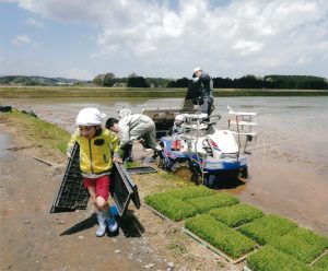 H28　最優秀賞　田植日和　及川文夫