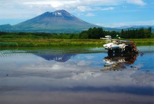 H28　優秀賞　田植の日　杉本英雄