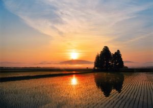 H28　最優秀賞　夜明の田園　平宏之進